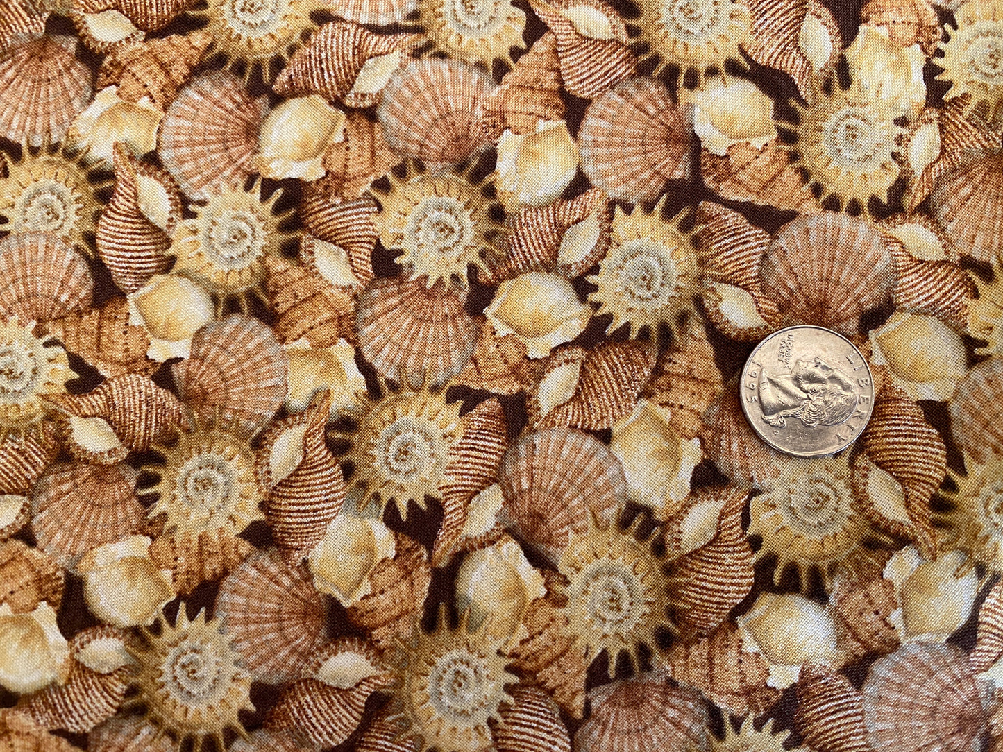 100% Cotton - Quilting Weight - Seashells on Brown