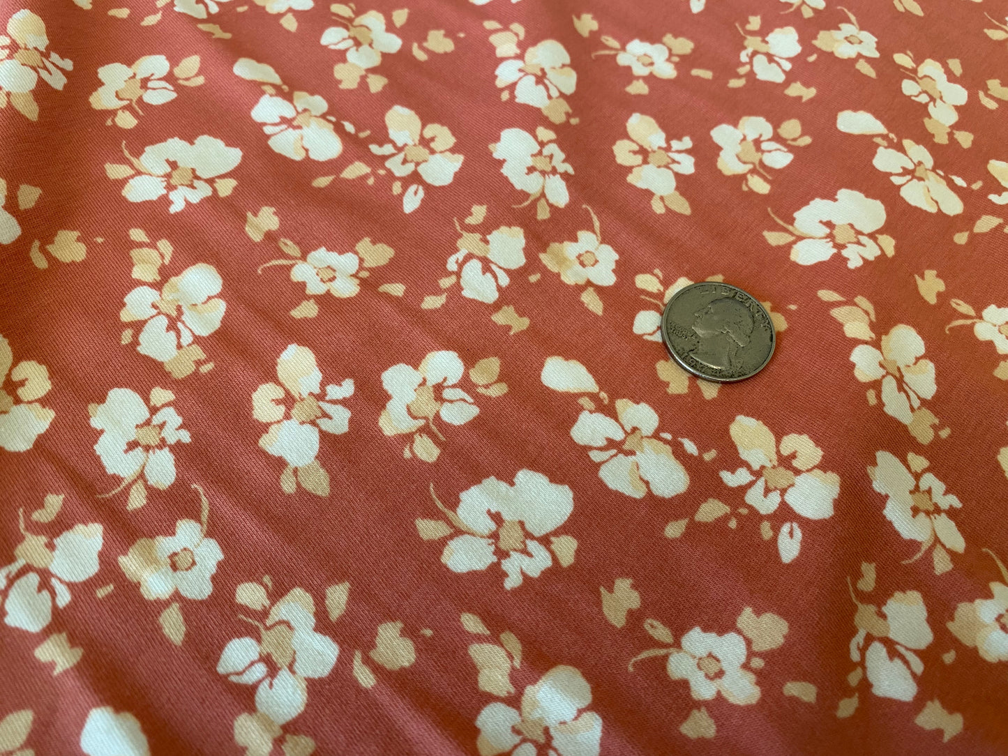 95/5 Cotton/Spandex Jersey - Red Desert Blooms