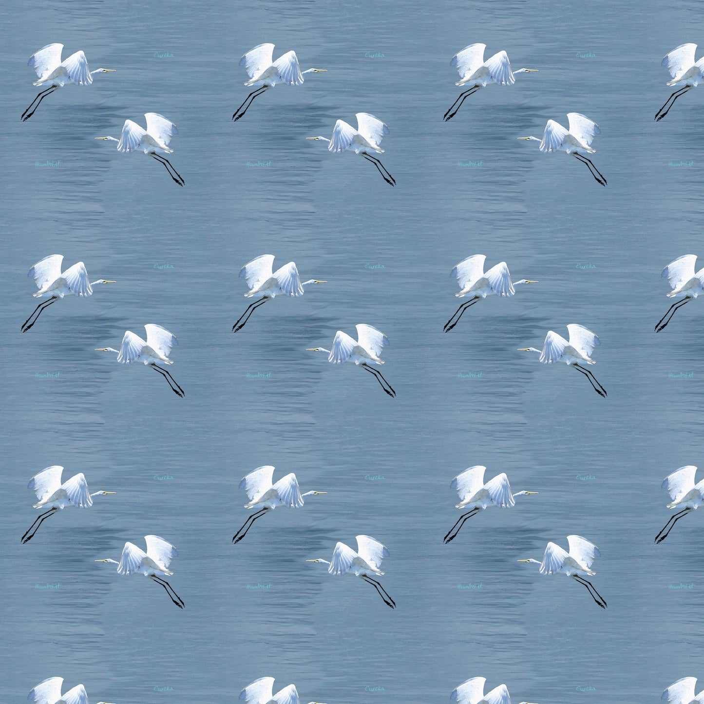 Eureka Egrets Exclusive Print