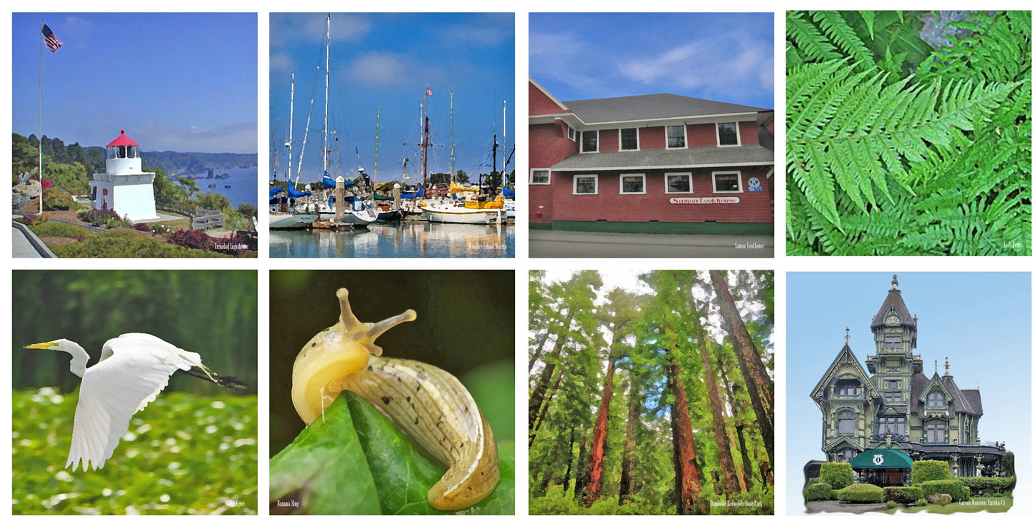Humboldt Charms - Exclusive Print - 8 Things You'll See in Humboldt County