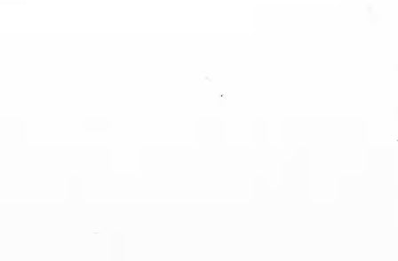 100% Cotton Flannel - Extra Heavy 6.6oz - Natural Undyed - DOUBLE SIDED!