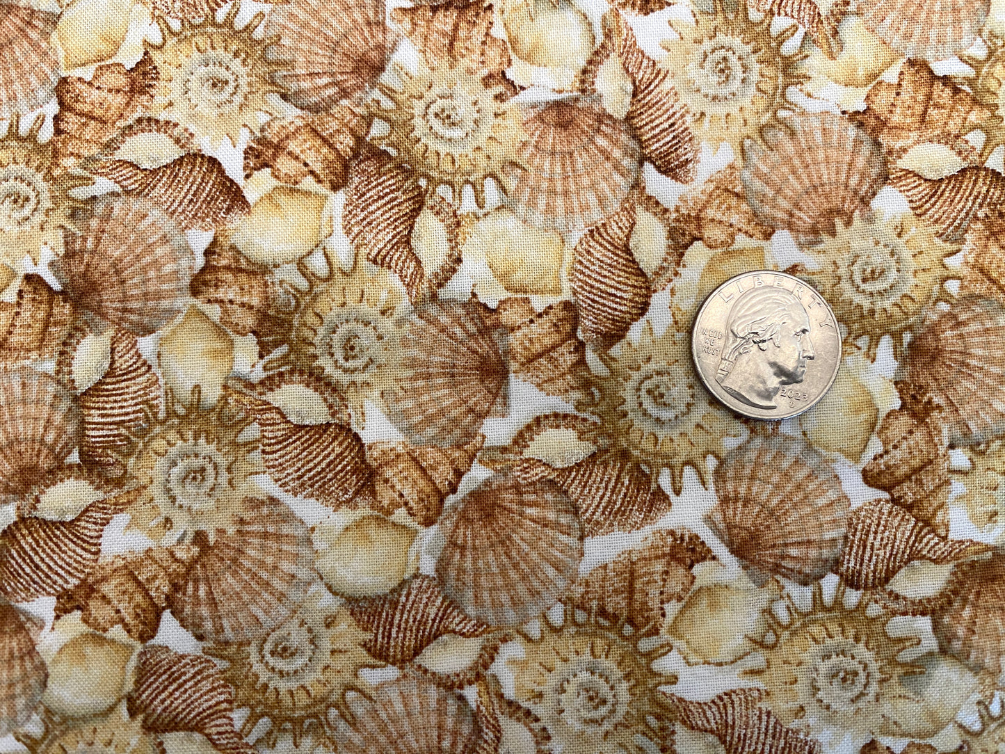 100% Cotton - Quilting Weight - She Sells Sea Shells