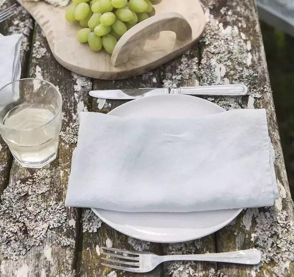 Two 100%Pure Linen Cloth Table Napkins